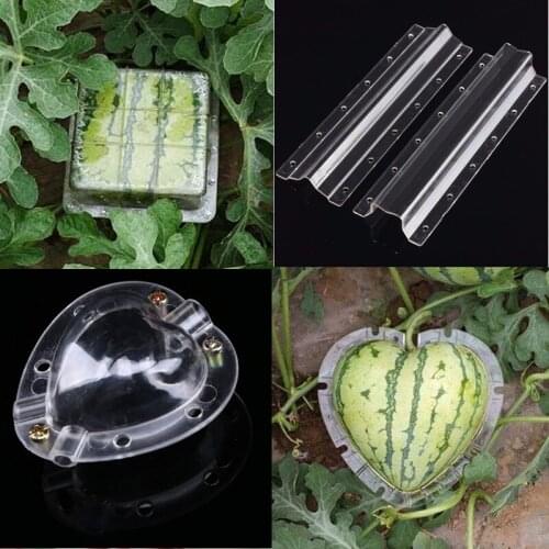 5pcs/set Garden Fruit Shaping Mold Plastic Heart/Star Vegetable Strawberry Cucumber Growth Forming Mold Clear Garden Nursery Pot