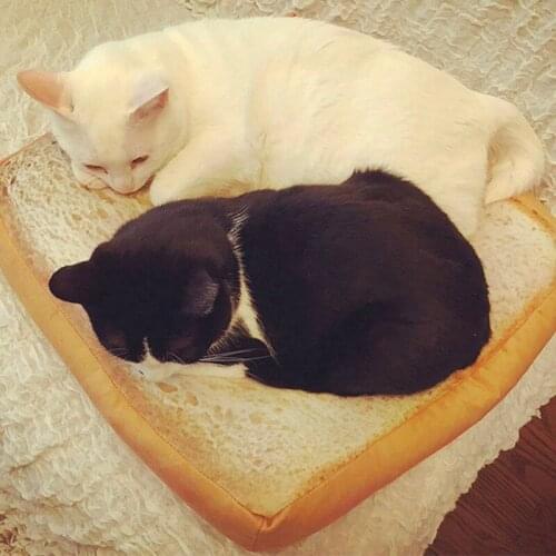 Bread Cats Bed Toast Bread Slice Style Pet Mats Cushion Soft Warm Mattress Bed for Cats Dogs GQ GQ