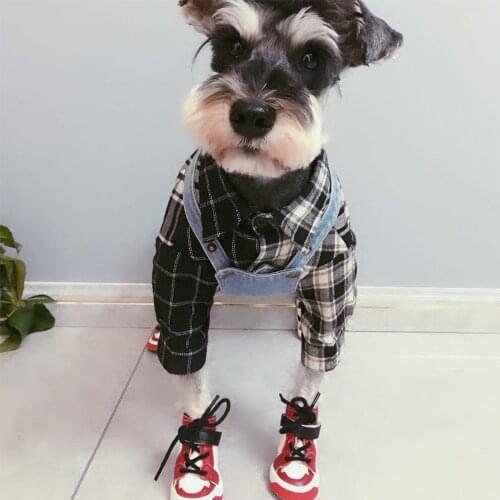Schnauzer Fashion Shoes OT0046