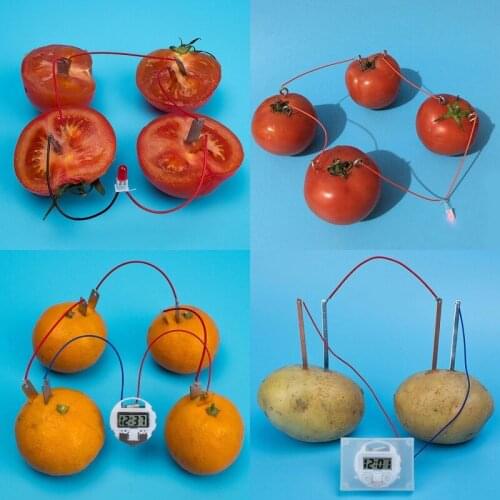 Bio Energy Science Kit Potato Fruit Supply Kids Children Student Learining Science Educational Toy Electricity Experiments