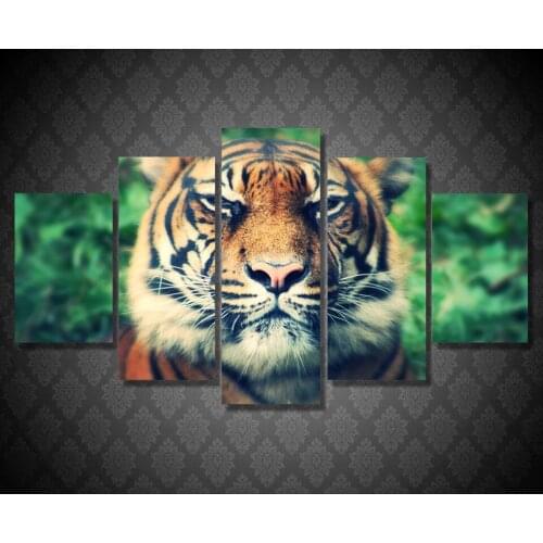 Wall Art Canvas Painting 5 Pcs Tiger Predator Muzzle Eyes Squint Hot Wall Pictures For Living Room Home Decor Modular Pictures