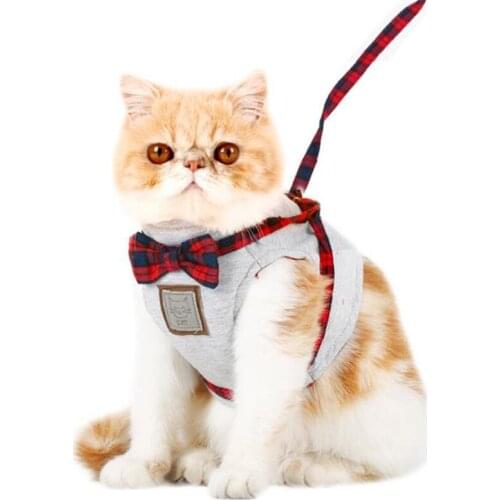 Suits for Cat Kitten Harness Leads Set Adjustable Strap Vest Yorkies Small Pets Costume Clothes Jogging Leashes Bowknot Decor