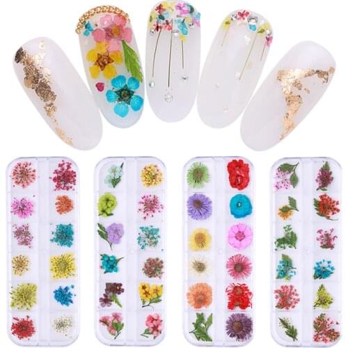 1 Box Dried Flower Plants for DIY Epoxy Resin Pendant Necklace Jewelry Making Nail Art Decoration Accessories+Tweezer Wholesale