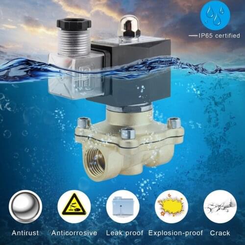 High Performance 1/2 Inch AC 220V 2W Square Coil Pure Copper Direct Acting Solenoid Valve Electromagnetic Valve for Garden Water
