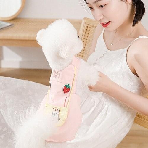 Pet Two-Legged Clothes Spring and Summer Puppy Dog Skirt Breathable Strawberry Rabbit Backpack Vest Skirt Cat Small Dog