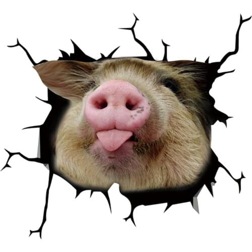 Dawasaru Pig Crack Car Sticker Pet Funny Puppy Lover Decorations Window Paste Stickers Kawaii Accessories PVC,30cm*30cm
