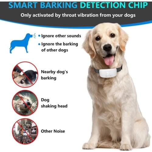 Pet Dog Training Collar Adjustable Dog Anti Barking Device 7 Level Waterproof USB Rechargeable with Smart Automatic Sensor for S