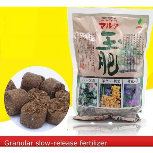 500g small granular 1.5cm Fertilizer Potted Landscape Slow Release Fertilizer with Long-acting Organic Orchid