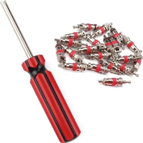 20pcs Tyre Valve Core with Remover Tool Valve Cores Truck Car Tyre Tire Air Conditioning Bike Car Tool Car Accessories TXTB1