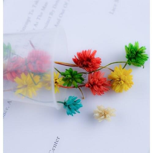 1Box Dried Flowers Dry Plants For Decoration Epoxy Resin Molds Pendant Necklace Jewelry Art Resin Mold Craft DIY