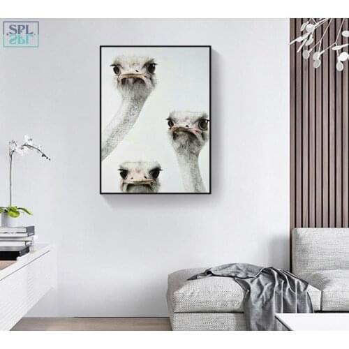 SPLSPL Three Curious Ostrich Heads Unframed Canvas Painting Nordic Poster Wall Art Home Decor Animal Printing Modern Picture