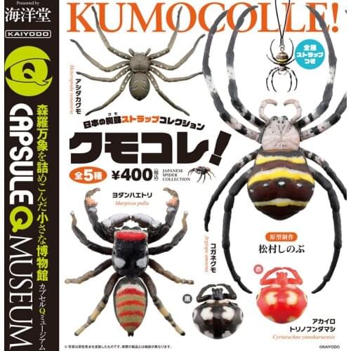 CAPSULE Q MUSEUM KUMOCOLLE Gashapon Toys Japanese Spider Argiope Amoena Cyrtarachne Bufo 5 Kinds Action Figure Ornament Toys