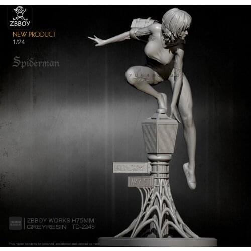 1/24 Resin Model Kits Figure Self-assembled TD-2248