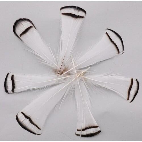 100pcs/lot Natural Pheasant Tail Feathers 7-12cm for Celebration Craft Jewelry DIY Decoration Plume