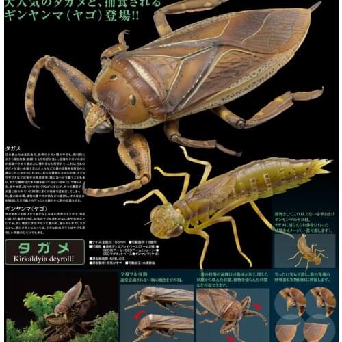 Action Figure Kaiyodoes Insect Figure Gashapon Toy Arthropod Joints Movable Trionychidae Model Collection