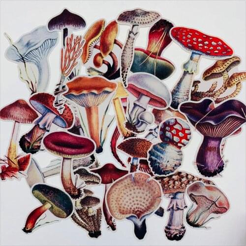 Vintage hand-painted colorful mushroom stickers DIY scrapbook base collage mobile phone case diary gift decoration
