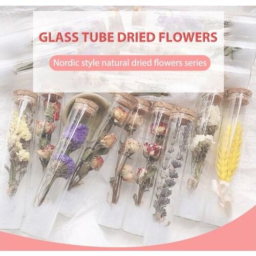 Glass Test Tube Dried Flower Bouquet Immortal Plant Specimen Decoration Wish Dried bouquet, herbarium, wishing vase gift box
