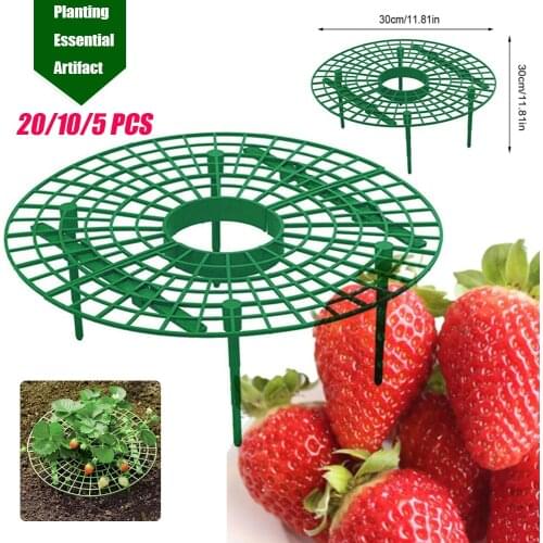 10/20 PCS Strawberry Stand Frame Holder Balcony Planting Rack Fruit Support Plant Flower Climbing Vine Pillar Gardening Stand