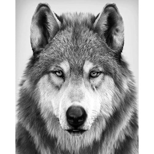 《Mature dog》 picture painting by numbers home decor birthday present quadros decorativos