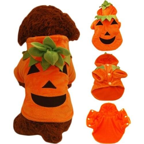 Autumn Winter Dog Christmas Halloween Demon Pumpkin Pet Transformation Dress