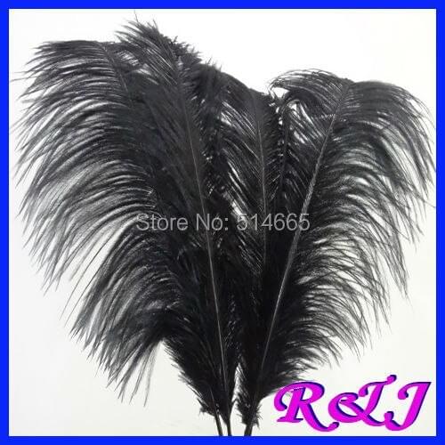 EMS Free shipping Cheap ostrich feather 100pcs 22-24inch 55-60cm Black Ostrich plumage ostrich plume