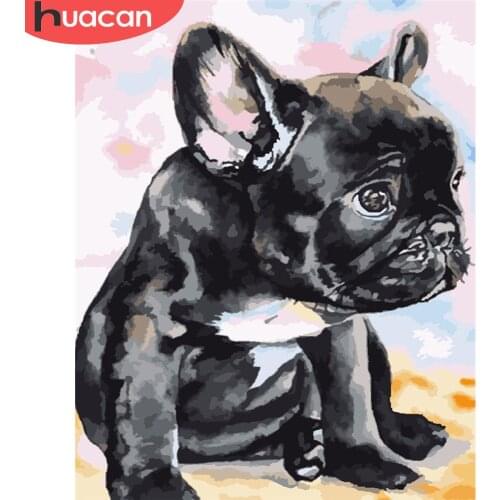 HUACAN Paint By Number Dog Drawing On Canvas Gift DIY Pictures By Numbers Animal Kits Hand Painted Painting Art Home Decor