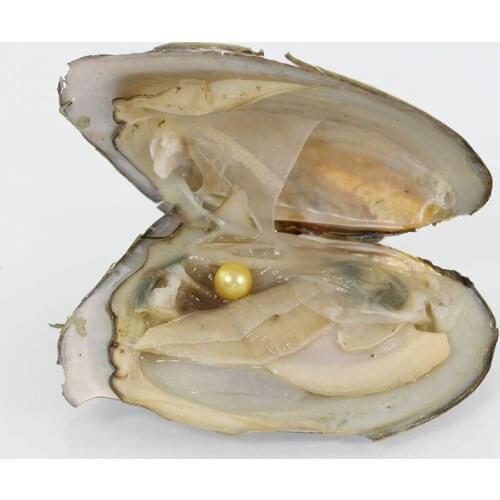 2018 Akoya 7-8MM Round Pearl Variety Color Love Wish Pearl Individually Vacuum Pack Fashion Trend Gift Surprise Yellow AR029