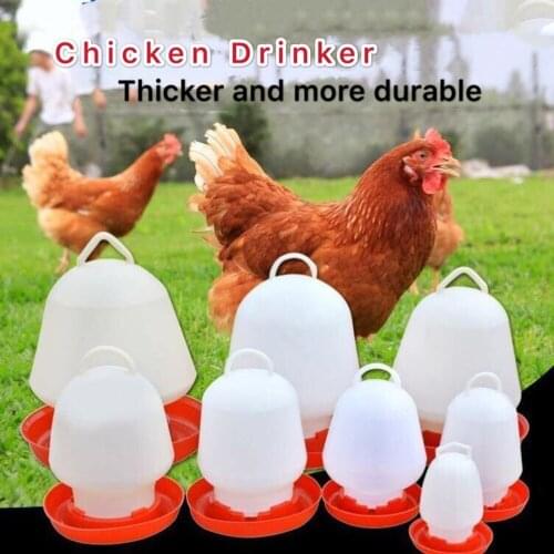 Chicken Waterer Automatic Chick Thicken Drinker Cups Poultry Feeders Water Bucket Drinking Fountain Farming Tools