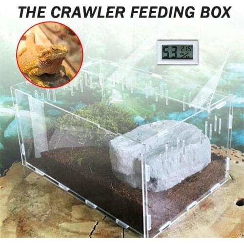 30*20*15cm Acrylic Pet Reptile Box with Thermometer Clear Box for Spider Snakes Lizard Scorpions Hermit Crabs Insect Fauna Cases