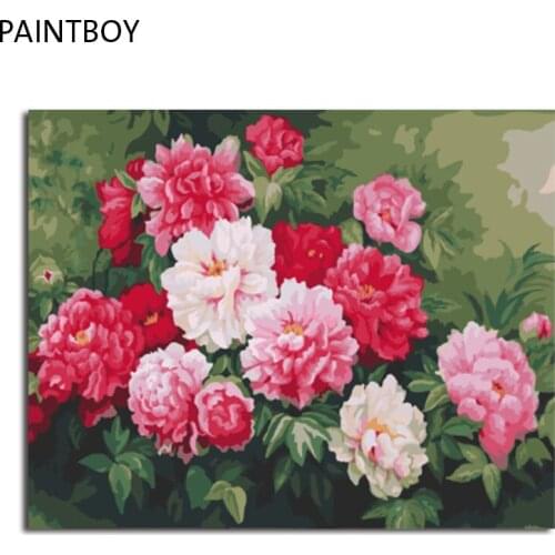 PAINTBOY Framed Picture Flower Home Decor DIY Painting By Numbers Digital Canvas Oil Painting Wall Art For Living Room