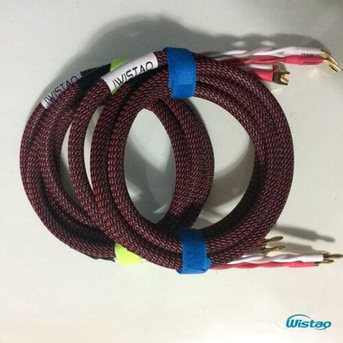 IWISTAO HIFI Speaker Cable with Japan Origin Canare 4S12F American Budweiser Copper Gold-plated Banana Y Plug 1-3.5M DIY