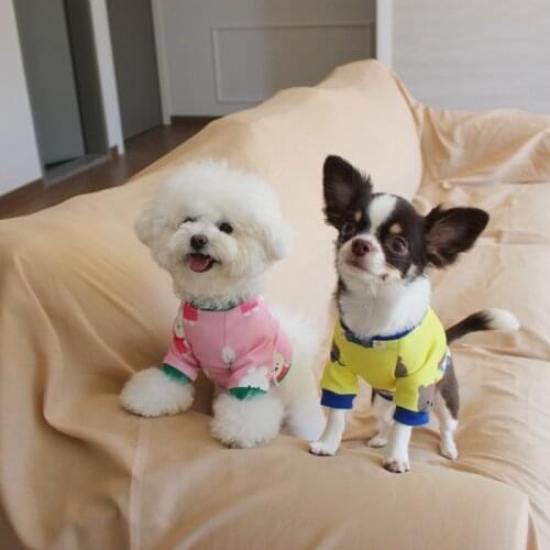 New Spring Cute Dog Tshirt for Small Medium Dogs Kawaii Rabbit Korea Bear Chihuahua Clothes Pomeranian Shirt Pet Clothing