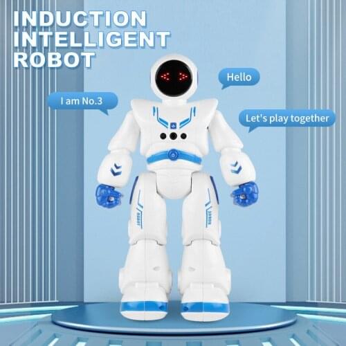 ZXSJOY Radio Controlled Robots