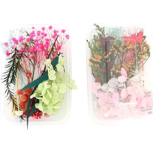 New Real Dried Flowers Leaves Set for DIY Crafts Art Mixed Multiple Dry Flower for Candle Resin Jewelry Pendant SCI88