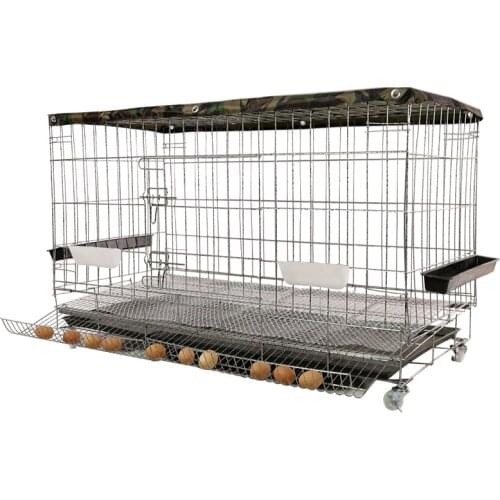 Household Double-layer Chicken Cages with Automatic Cleaning of Manure and Automatic Laying of Chicken Cages