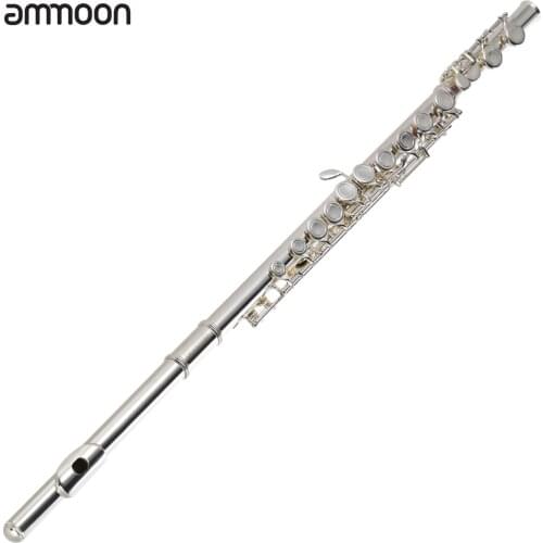 Ammoon High Quality C Key Flute Cupronickel Silver Plated 16 Closed Holes with Case Screwdriver Wind Instruments for Beginner