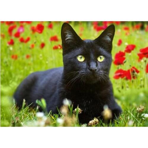 Square diamond painting black cat animal round diamond mosaic home decor diamond embroidery pattern handmade new year gift DF86