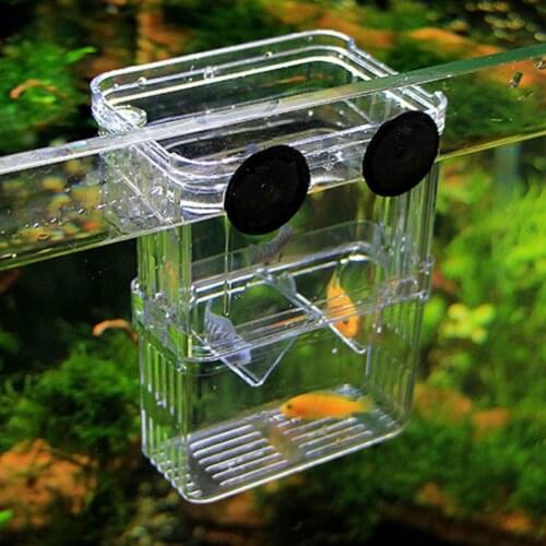 Aquarium Transparent Double Bowl Fighting Fish Mini House Incubator Box For Fry Isolation Hatchery Reptile Cage Turtle House