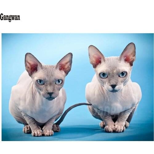 Diamond embroidery"Sphynx Cat pet"5D diamond painting rhinestone cross stitch kits diamond mosaic cute animal 5d diy home decor
