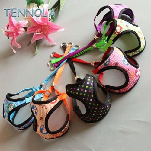 Ошейники, шлейки и поводки TENNOLA China At AliExpress