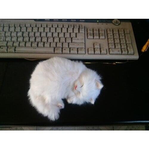 Simulation white sleeping cat 18x16cm model,polyethylene&furs toy,prop.home decoration Xmas gift w4200