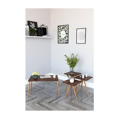 Modern 3'lü Zigon Coffee table And Coffee table in the Middle-Walnut coffe table table bassee