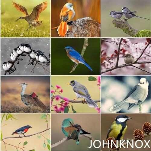 Diamond Painting Bird 5D Diy Diamond Embroidery Full Round& Square Drill Diamond Mosaic Cross Stitch Home Decor Handcraft