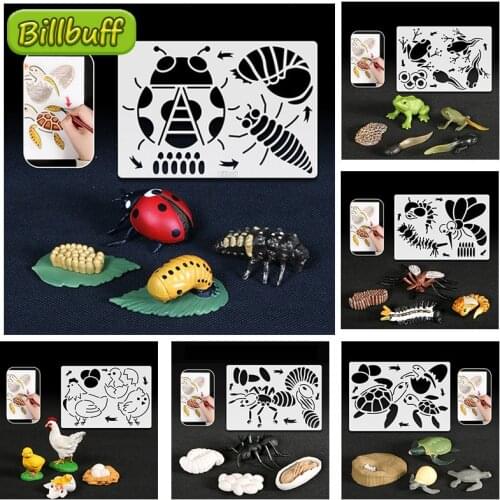 Simulation Animals Growth Cycle Butterfly Snails Swan Life Cycle Figures ABS Models Action Drawing Educational Toys for Kid Gift