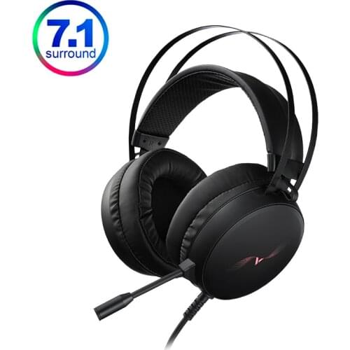 Rapoo Headphones