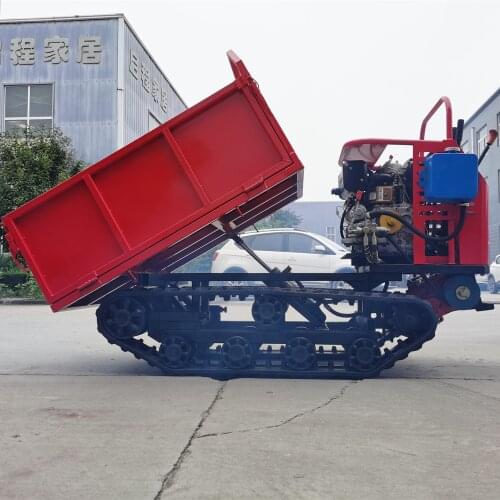 Multifunctional 0.5T 0.8T 1T 1.2T 1.5T Mini Dumper 500kg / Dump Truck 1ton