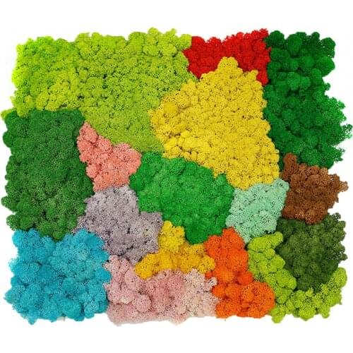 Moss Craft Flower Artificial Green Plant Immortal Fake Flower Moss Grass Living Room Decorative Wall DIY Flower Mini Accessories