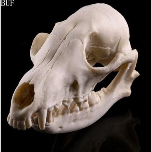 BUF Resin Fox Skull Model Halloween Decoration Animal Skull Statue Creative Bar Decoration Sculpture Crafts Ornaments