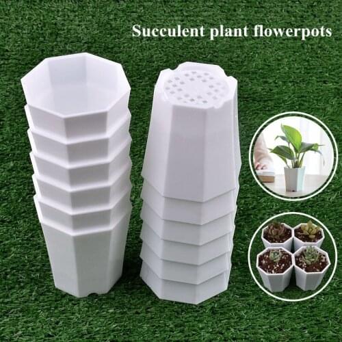 50pcs Succulent Plant Flower Pots 68*73mm Mini Plastic Flowerpot Home Office Decor Garden Bonsai Cactus Plants Simple Flower Pot