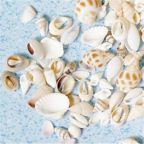 Puzzle Garden Creams